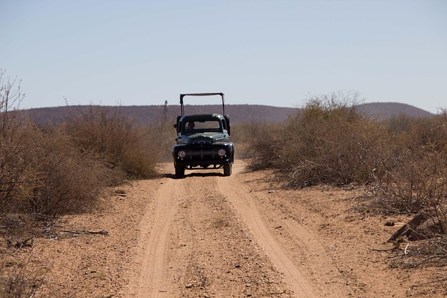 Free Dirt Road Truck photo and picture