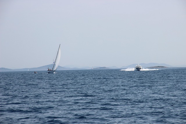 Free Sailboat Speed Boat photo and picture