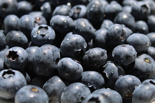 Arándanos, Frutas, Gotas De Agua, Mojado