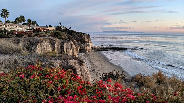 Free Beach Cliff photo and picture