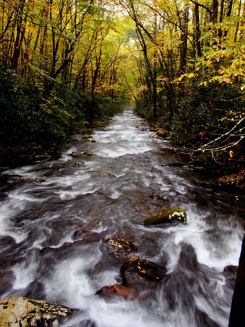 Otoño, Arroyo, Agua, Montañas Smoky