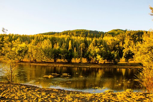 Rivier, Herfst, Bomen, Landschap, Water