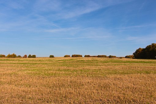 Câmp, Pădure, Toamna, Natură, Peisaj