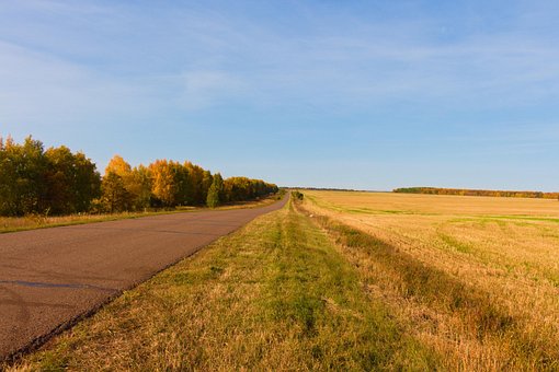 Câmp, Pădure, Toamna, Natură, Peisaj