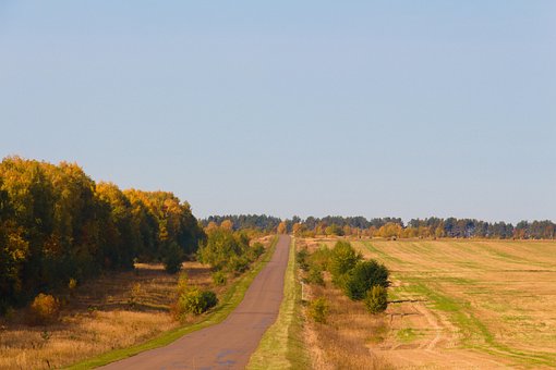 Câmp, Pădure, Toamna, Natură, Peisaj