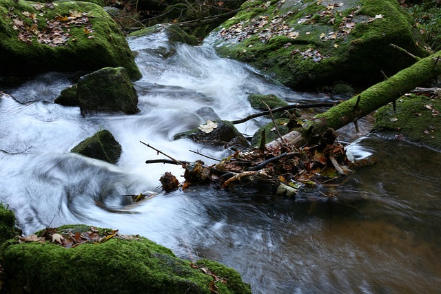Free River Rocks photo and picture