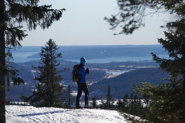 Free Mountain Snow photo and picture