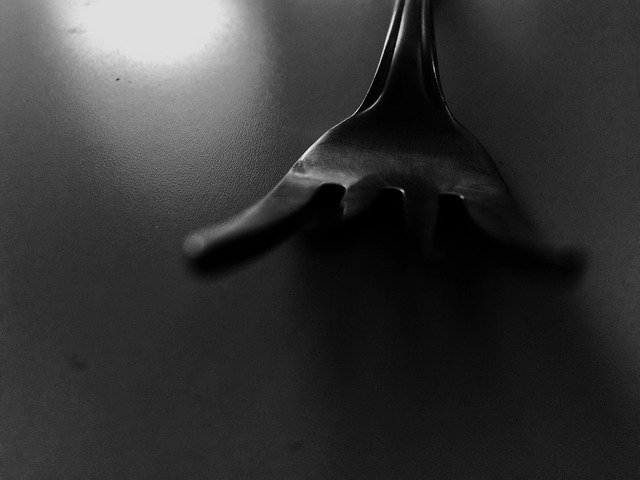 Free Fork Danger photo and picture