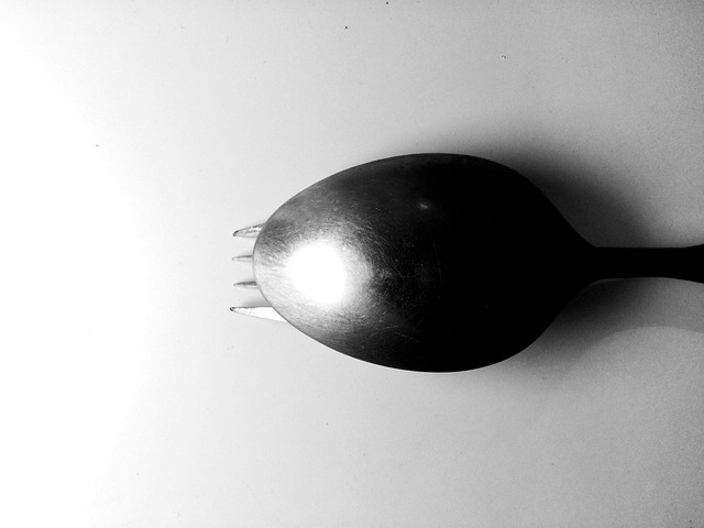 Free Fork Tableware photo and picture