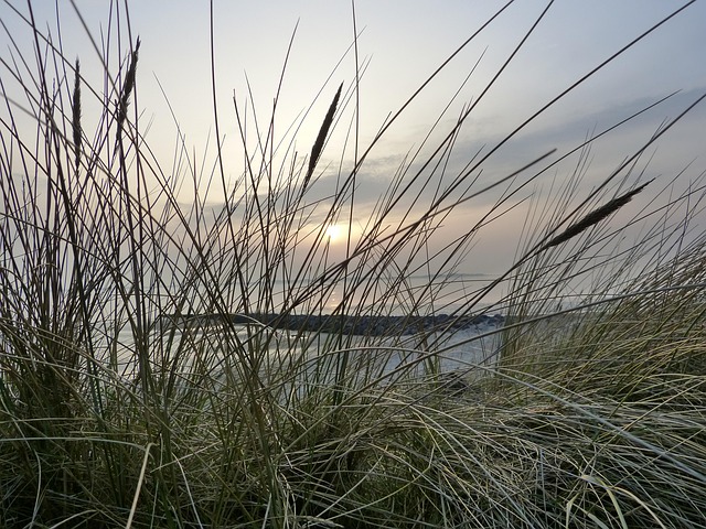 Free Föhr Sunset photo and picture