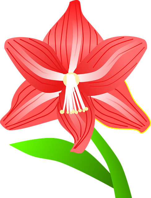 Free Flower Plant vector and picture