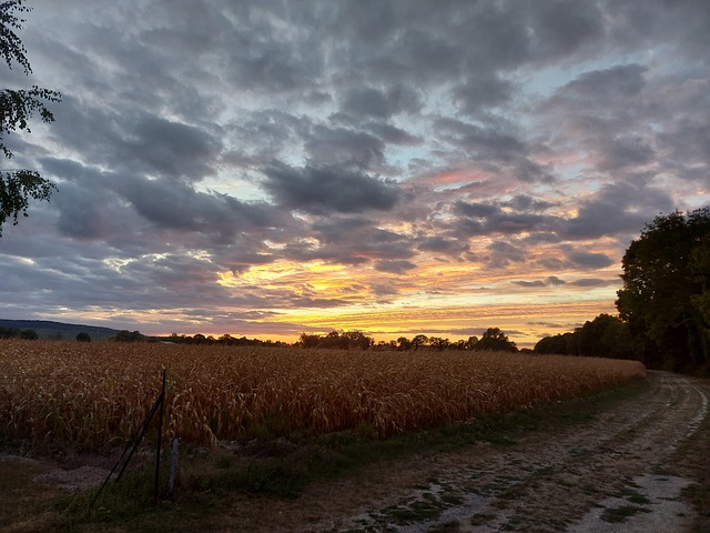 Free Sunset Clouds photo and picture