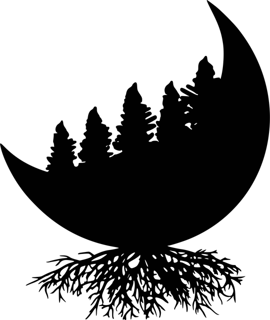 Free Forest Moon vector and picture