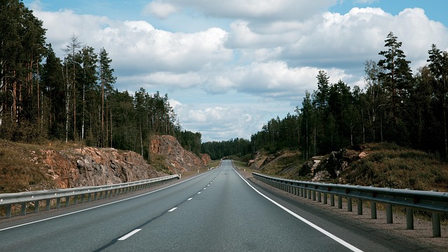 Free Road Avenue photo and picture