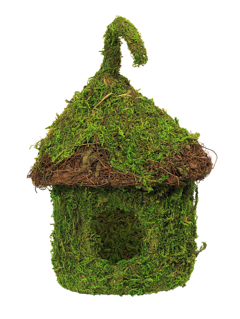 Grünes Haus, Vogelhaus, Gras, Natur