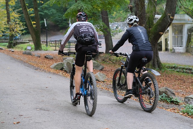 Radfahren, Erholung, Paar, Sport, Gesund