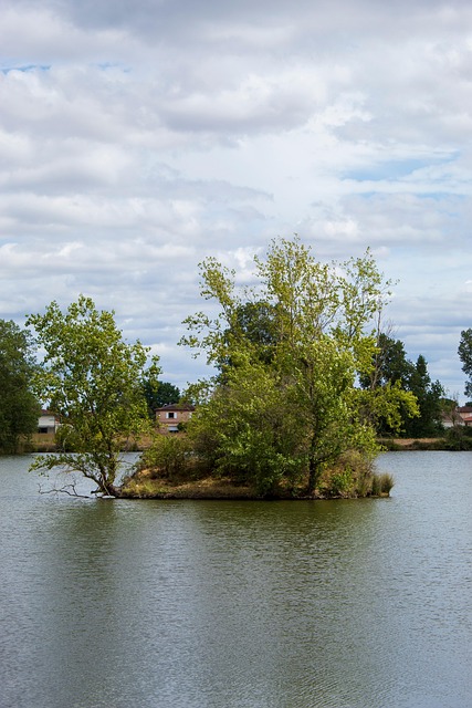 Free Nature Landscape photo and picture