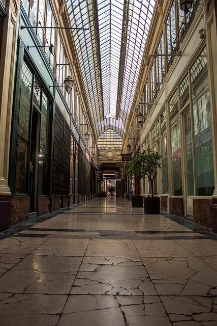 Free Paris Travel photo and picture