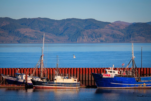 Boote, Wasser, Schlepper, Seebrücke