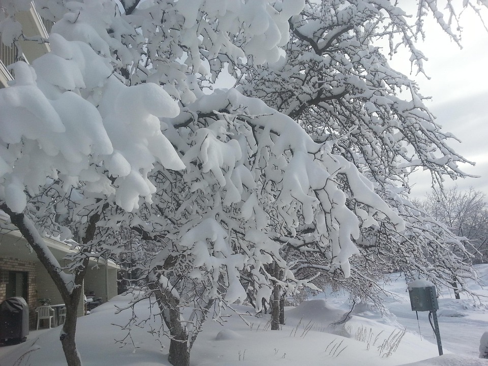 冰 雪 冬天 - Pixabay上的免费照片 - Pixabay