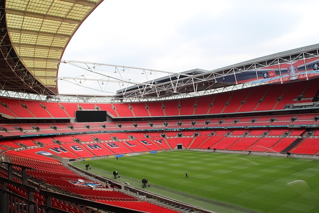 Free Stadium Field photo and picture