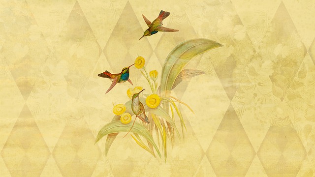 Free birds flying plants illustration