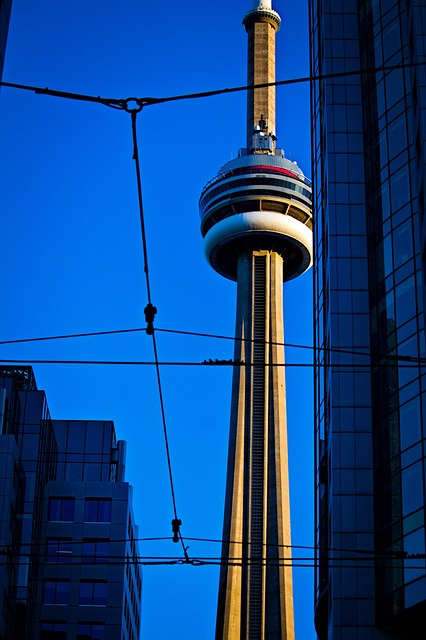 Free Toronto Cn Tower photo and picture
