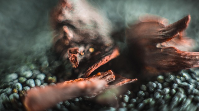Free Macro Mack photo and picture