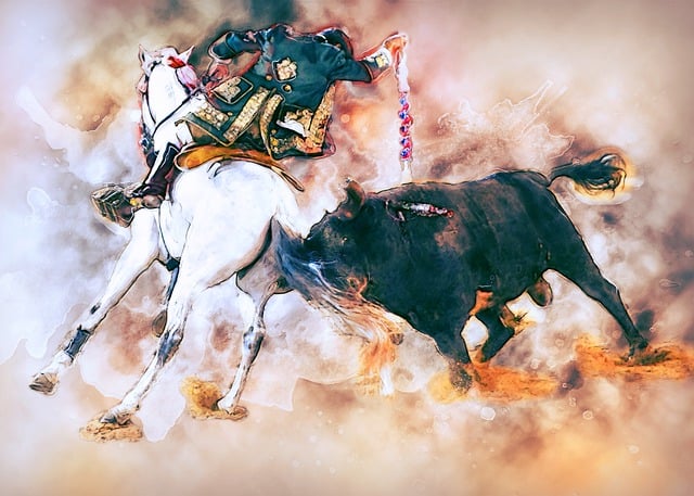 Free bullfighting man nature illustration