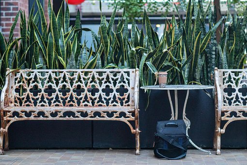 Free Bench Secret photo and picture