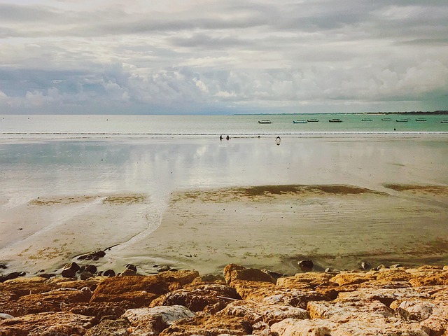 Free Beach Sky photo and picture
