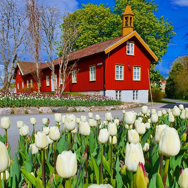 Free Landscapephotography Landscapelover photo and picture