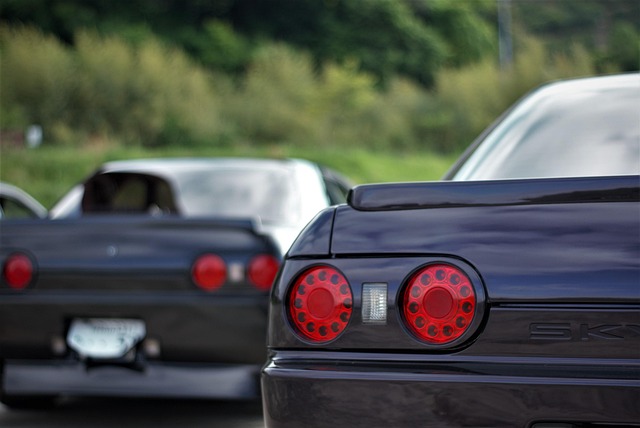 Free Skyline The New photo and picture