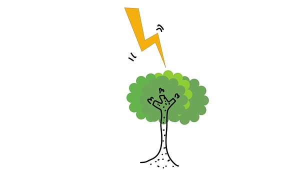 Rayo, Árbol, Li, Tormenta, Peligroso