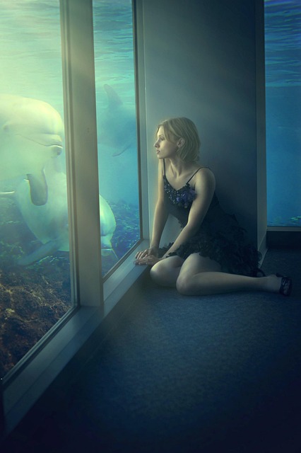 Mujer, Delfines, Fantasía, Ventana, Niña
