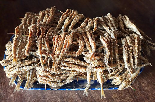 Free Fish Anchovies photo and picture