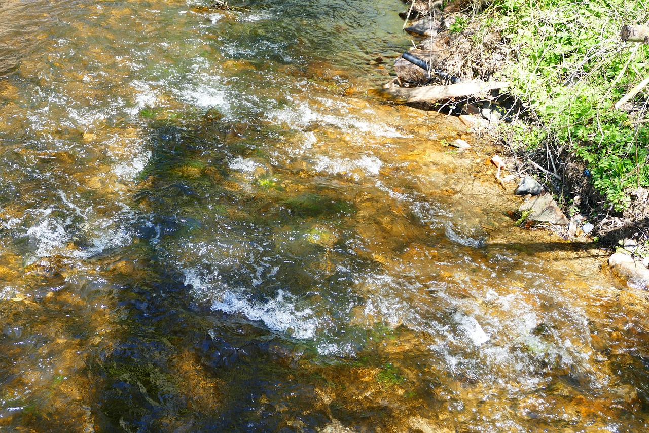 Perched Spring Spring At The River Bach - Free photo on Pixabay - Pixabay