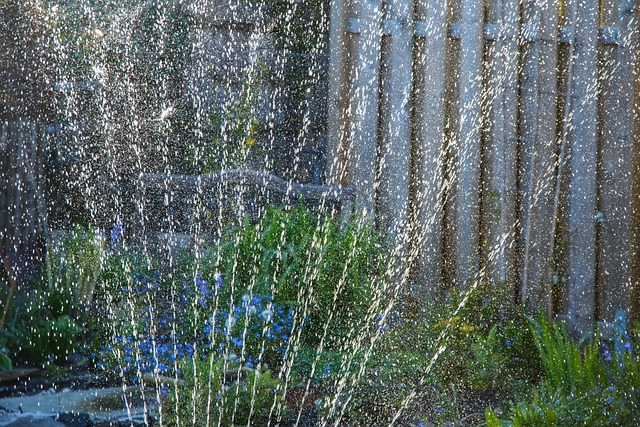 Free Sprinkler Hose photo and picture