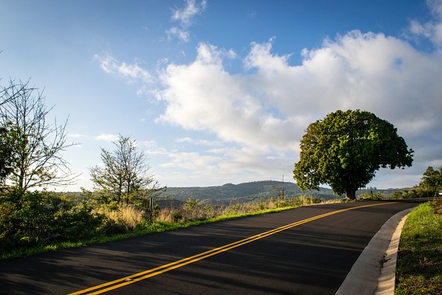 Free Hawaii Kauai photo and picture