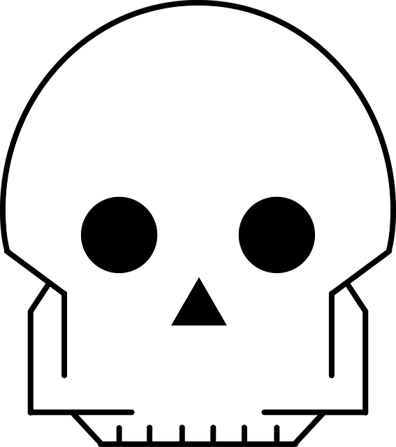 Free Skull Bone illustration and picture