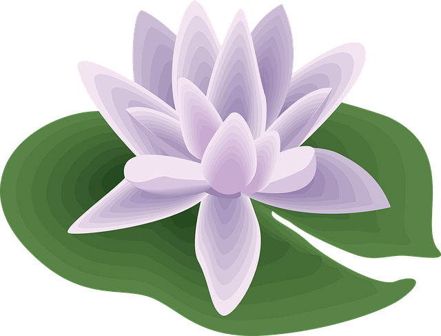 Free flower petals nature illustration