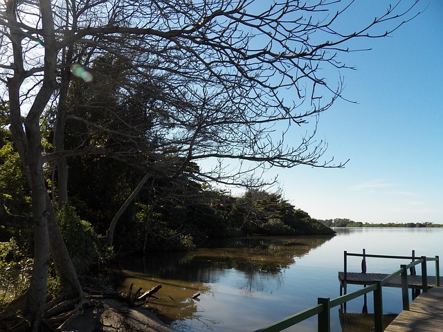 Free Marapendi Barra Da Tijuca photo and picture