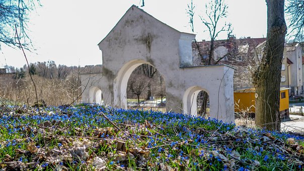 Friedhof, Blumen, Tor, Pflanzen