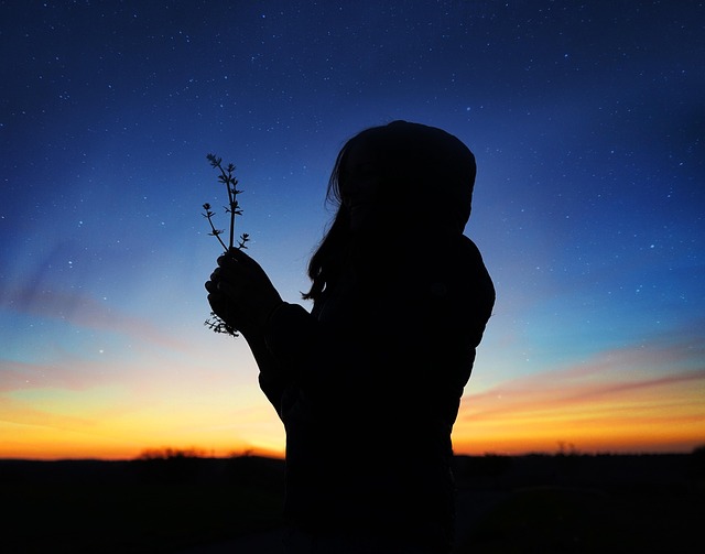 Frau, Blumen, Sonnenuntergang