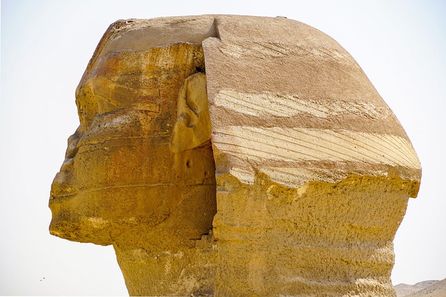 Sphinx Head Cairo - Free photo on Pixabay - Pixabay