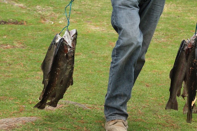 Free Fishing Fish photo and picture