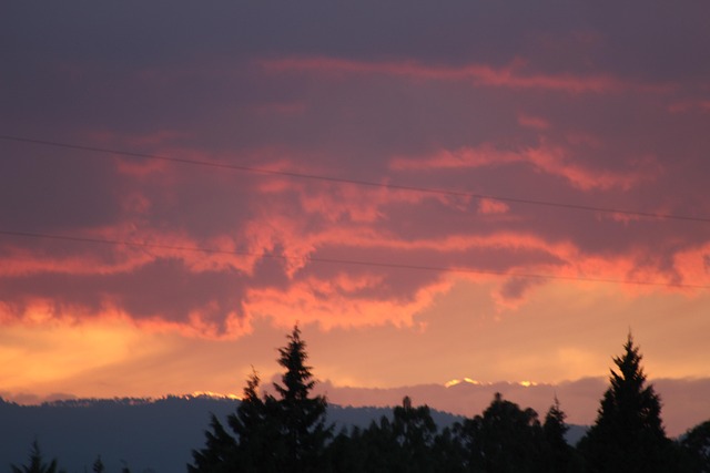 Free Sunset Darling photo and picture