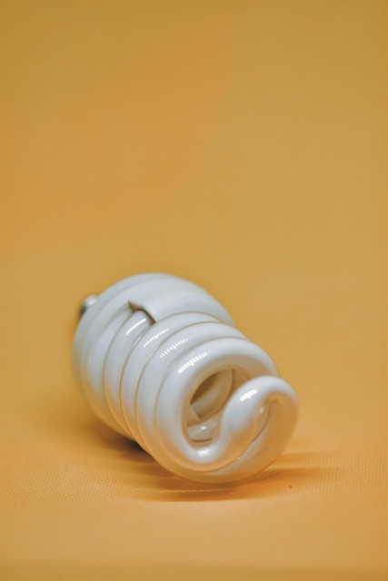Free Light Bulb Yellow photo and picture