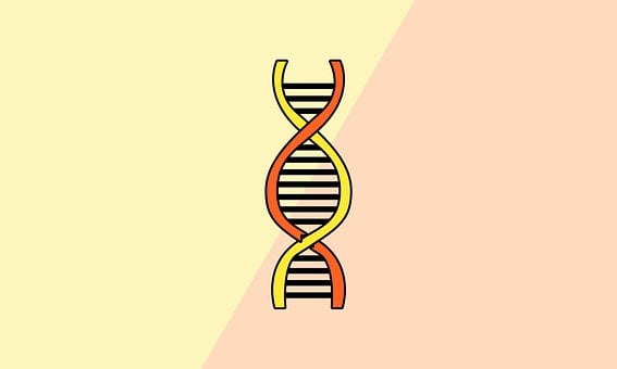 Free Dna Science illustration and picture