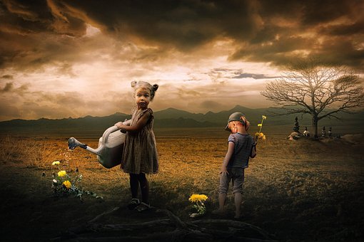 Free Flowers Watering Can photo and picture